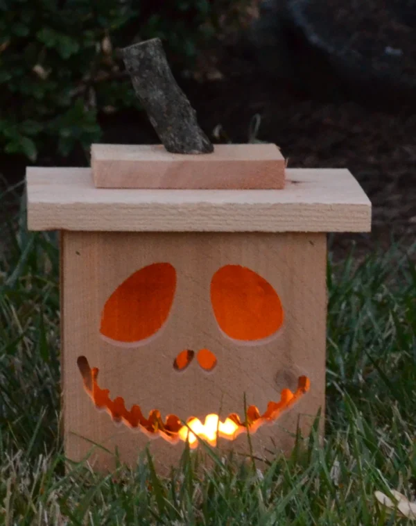 #5 - Silly Face Lantern